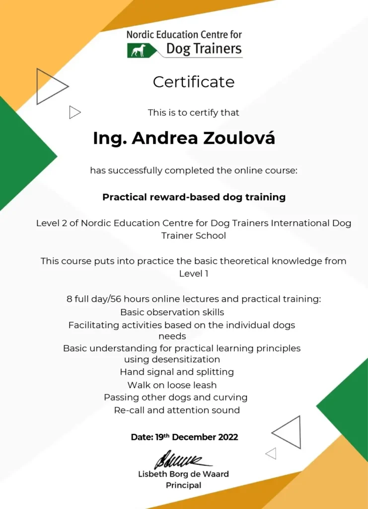 Další certifikát 2
